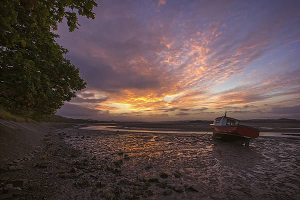   River Taw sunrise. Picture Board by Dave Wilkinson North Devon Ph