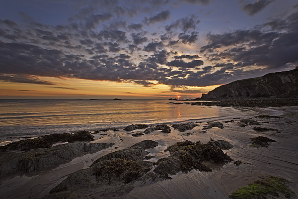  Sunrise Lee Bay, North Dev.on Picture Board by Dave Wilkinson North Devon Ph