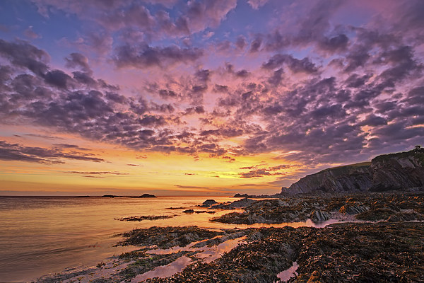   Lee Bay sunrise Picture Board by Dave Wilkinson North Devon Ph