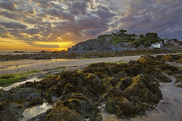 Lee Bay sunrise  Picture Board by Dave Wilkinson North Devon Ph