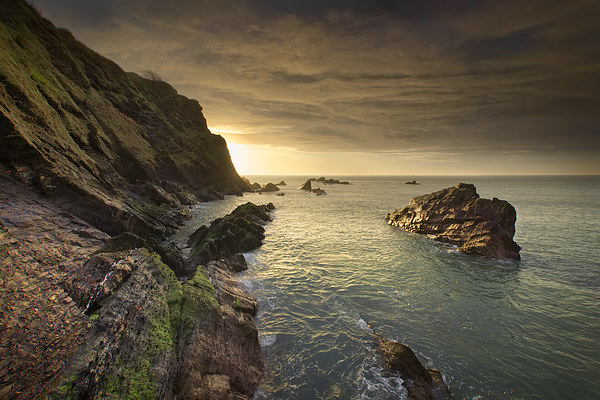  North Devon Coastline at Ilfracombe. Picture Board by Dave Wilkinson North Devon Ph