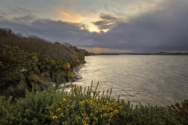  River Taw sunrise Picture Board by Dave Wilkinson North Devon Ph