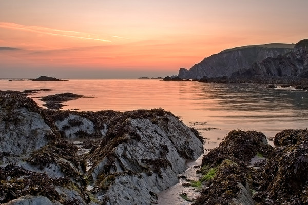 Lee Bay sunrise Picture Board by Dave Wilkinson North Devon Ph