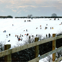 Buy canvas prints of Winter Snow Scene with Sledging by Rick Parrott