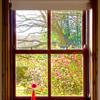 Buy canvas prints of Looking through the window by Rick Parrott