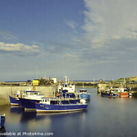 Buy canvas prints of Seahouses by Colin Chipp