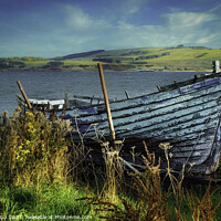 Buy canvas prints of Peedie Lass by Colin Chipp