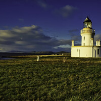 Buy canvas prints of Chanonry Point lighthouse by Colin Chipp