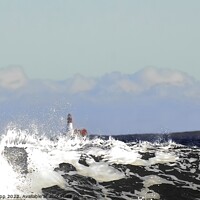 Buy canvas prints of Lighthouse in the waves by Colin Chipp