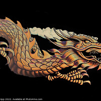 Buy canvas prints of Chinese dragon 2 by Colin Chipp