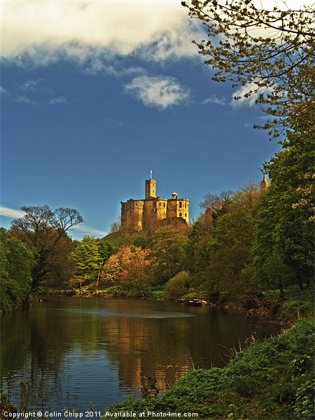 Warkworth Castle Picture Board by Colin Chipp