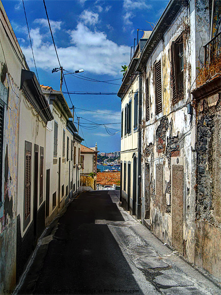 Funchal street Picture Board by Colin Chipp