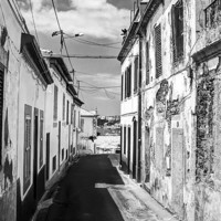 Buy canvas prints of Funchal streeet B&W by Colin Chipp