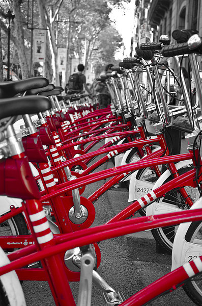 Barcelona bikes Picture Board by Colin Chipp