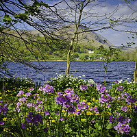 Buy canvas prints of Rydal woodland by Colin Chipp