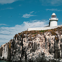 Buy canvas prints of Lighthouse on Inner Farne by Colin Chipp