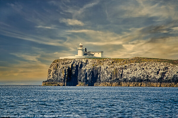 Inner Farne Lighthouse Picture Board by Colin Chipp