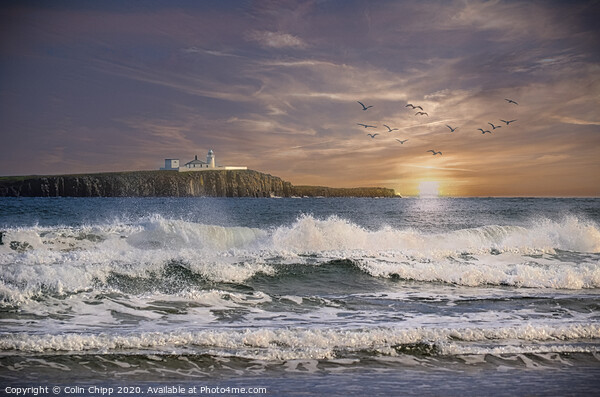 Early morning on the Farnes Picture Board by Colin Chipp