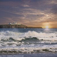 Buy canvas prints of Early morning on the Farnes by Colin Chipp