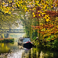 Buy canvas prints of Peak Forest Canal by Colin Chipp