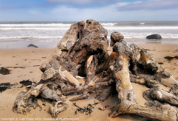 Driftwood Picture Board by Colin Chipp