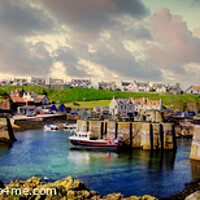 Buy canvas prints of St. Abbs panorama by Colin Chipp