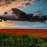 Buy canvas prints of Lancaster Bomber Returning at Sunset by Derek Beattie
