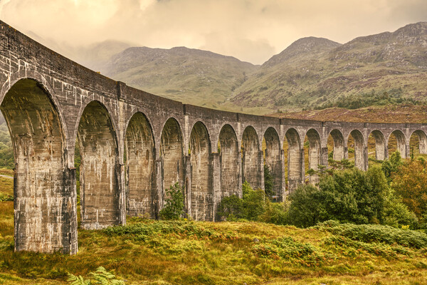 Glenfinnan Viaduct Picture Board by Derek Beattie