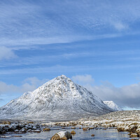 Buy canvas prints of The Buachaille Etive Mor  by Derek Beattie