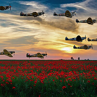 Buy canvas prints of Spitfires Over The Poppy Field by Derek Beattie