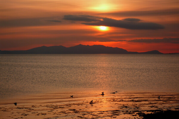 Sunset Over the Isle of Arran Picture Board by Derek Beattie