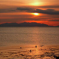 Buy canvas prints of Sunset Over the Isle of Arran by Derek Beattie