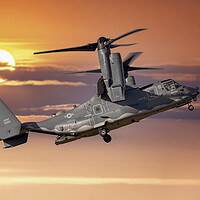 Buy canvas prints of USAF CV-22B Osprey at Sunset by Derek Beattie