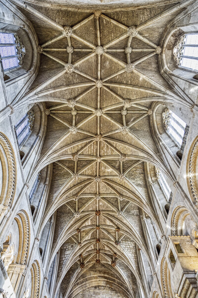 12th Century Vaulted Ceiling above the Nave, Malme Picture Board by Derek Beattie