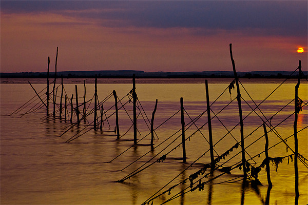 Fishing Nets at Sunset Picture Board by Derek Beattie