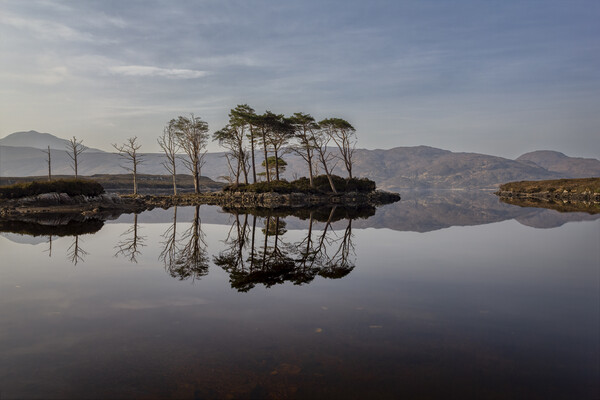 Loch Assynt Reflections Picture Board by Derek Beattie