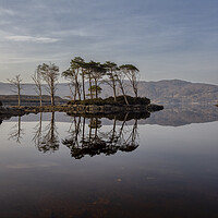 Buy canvas prints of Loch Assynt Reflections by Derek Beattie