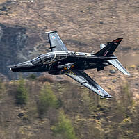 Buy canvas prints of  RAF British Aerospace Hawk T.2 Flying Low Level by Derek Beattie