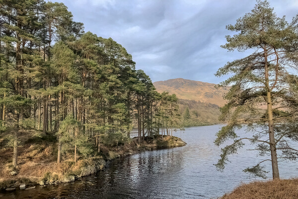 Loch Trool Picture Board by Derek Beattie
