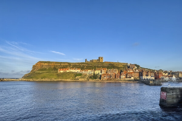 Whitby Harbour and the Old Town Picture Board by Derek Beattie