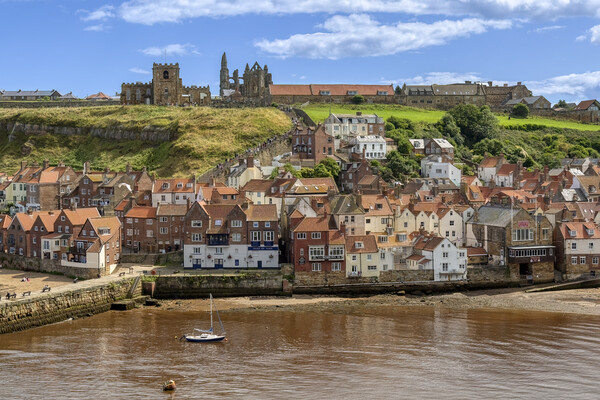 Whitby Old Town and the Harbour Picture Board by Derek Beattie
