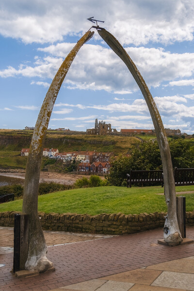 The Whitby Whalebone Arch  Picture Board by Derek Beattie