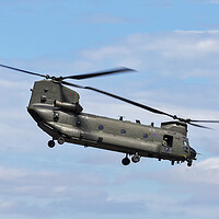 Buy canvas prints of RAF CH47 Chinook Helicopter by Derek Beattie