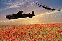 Click to show how this picture will look as a piece of wall art