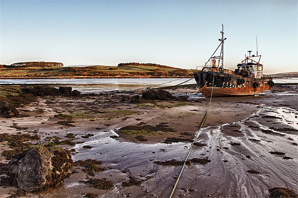 Ross Bay Shipwreck Scotland Picture Board by Derek Beattie