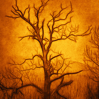 Buy canvas prints of Tree Art by Derek Beattie