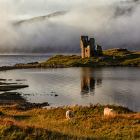 Buy canvas prints of Ardvreck Castle Highland Scotland by Derek Beattie