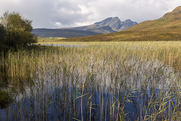 Blaven and the Reeds of Loch Cill Chriosd Picture Board by Derek Beattie