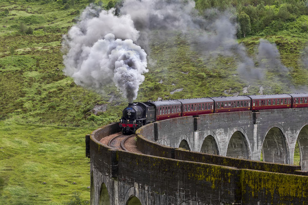 Steam Train Crossing the Glenfinnan Viaduct Picture Board by Derek Beattie