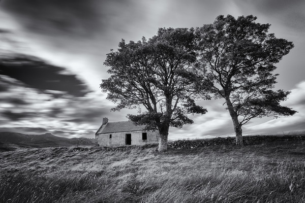 Old Croft House at Lettermore Picture Board by Derek Beattie